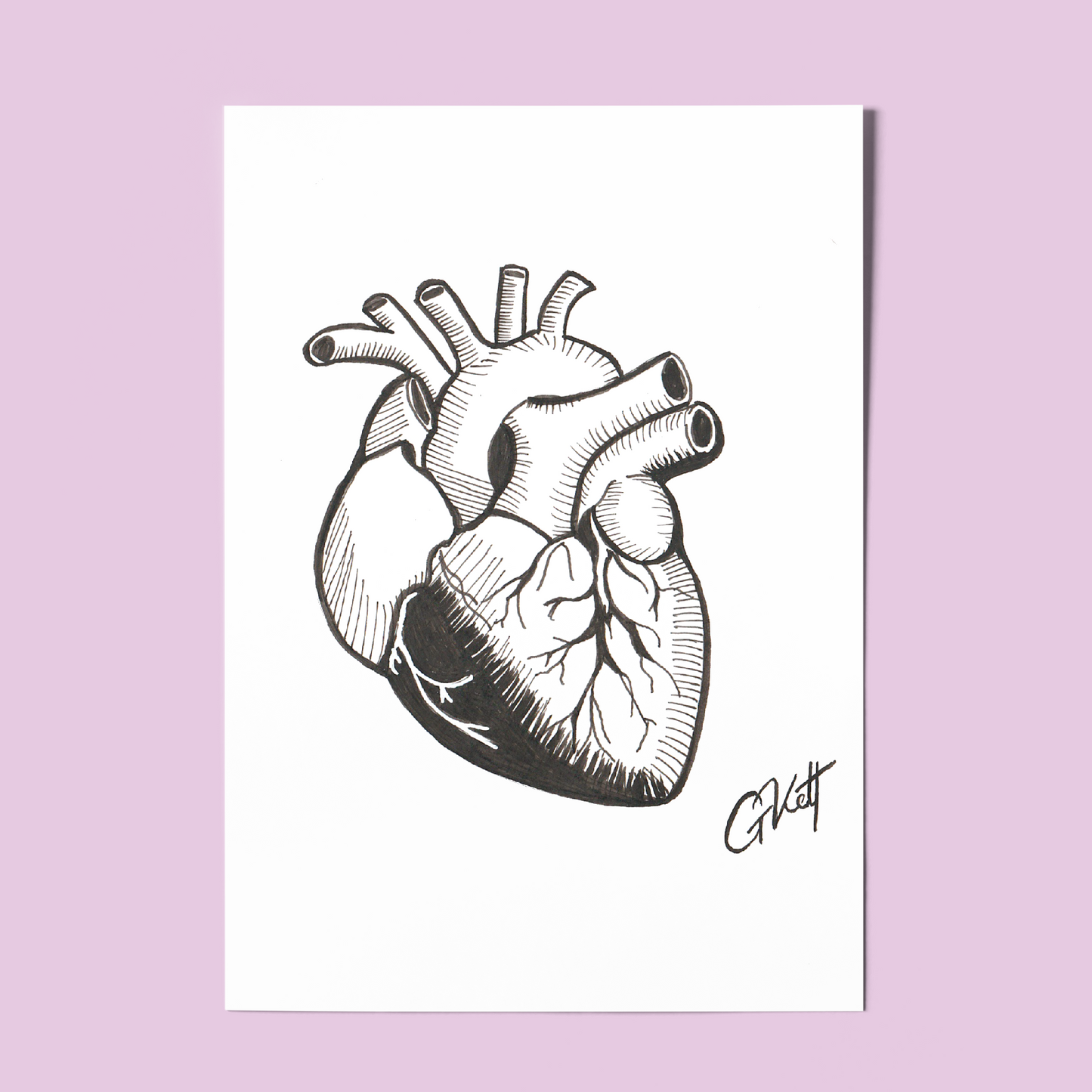 Anatomical Heart A4 Art Print – Hand Drawn Pen and Ink Illustration with Whimsical, Emotive Detail