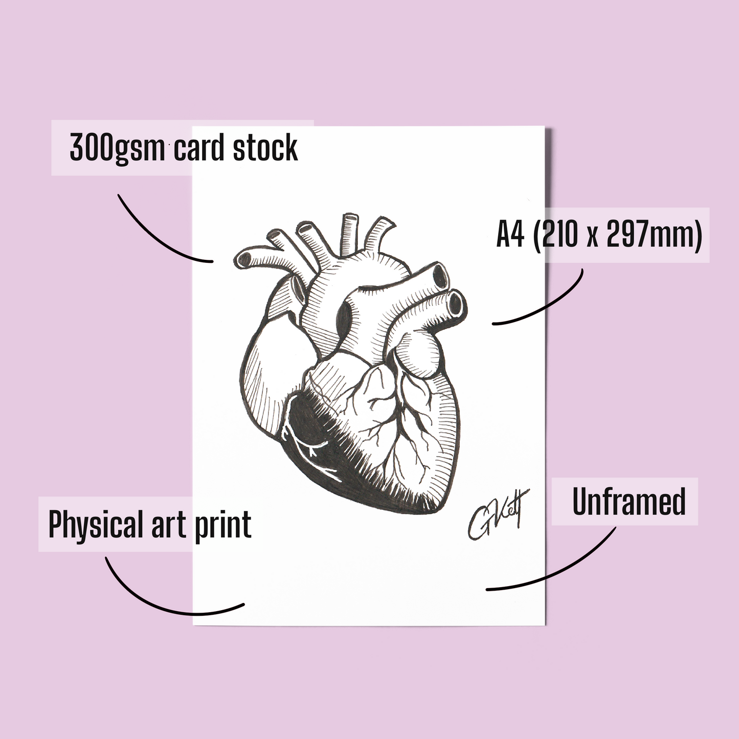 Anatomical Heart A4 Art Print – Hand Drawn Pen and Ink Illustration with Whimsical, Emotive Detail