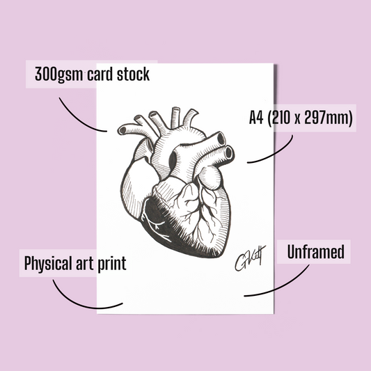 Anatomical Heart A4 Art Print – Hand Drawn Pen and Ink Illustration with Whimsical, Emotive Detail